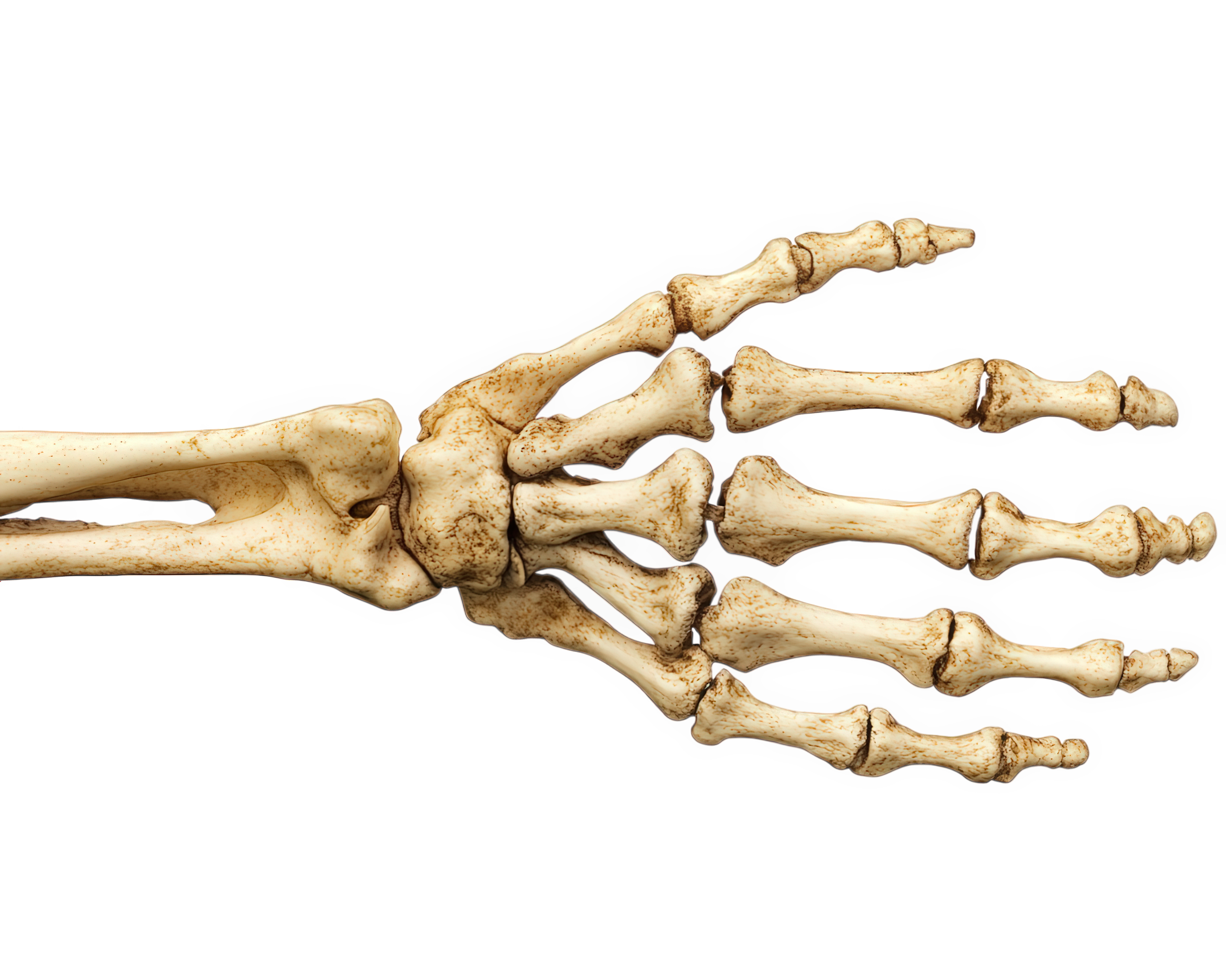 Left Hand