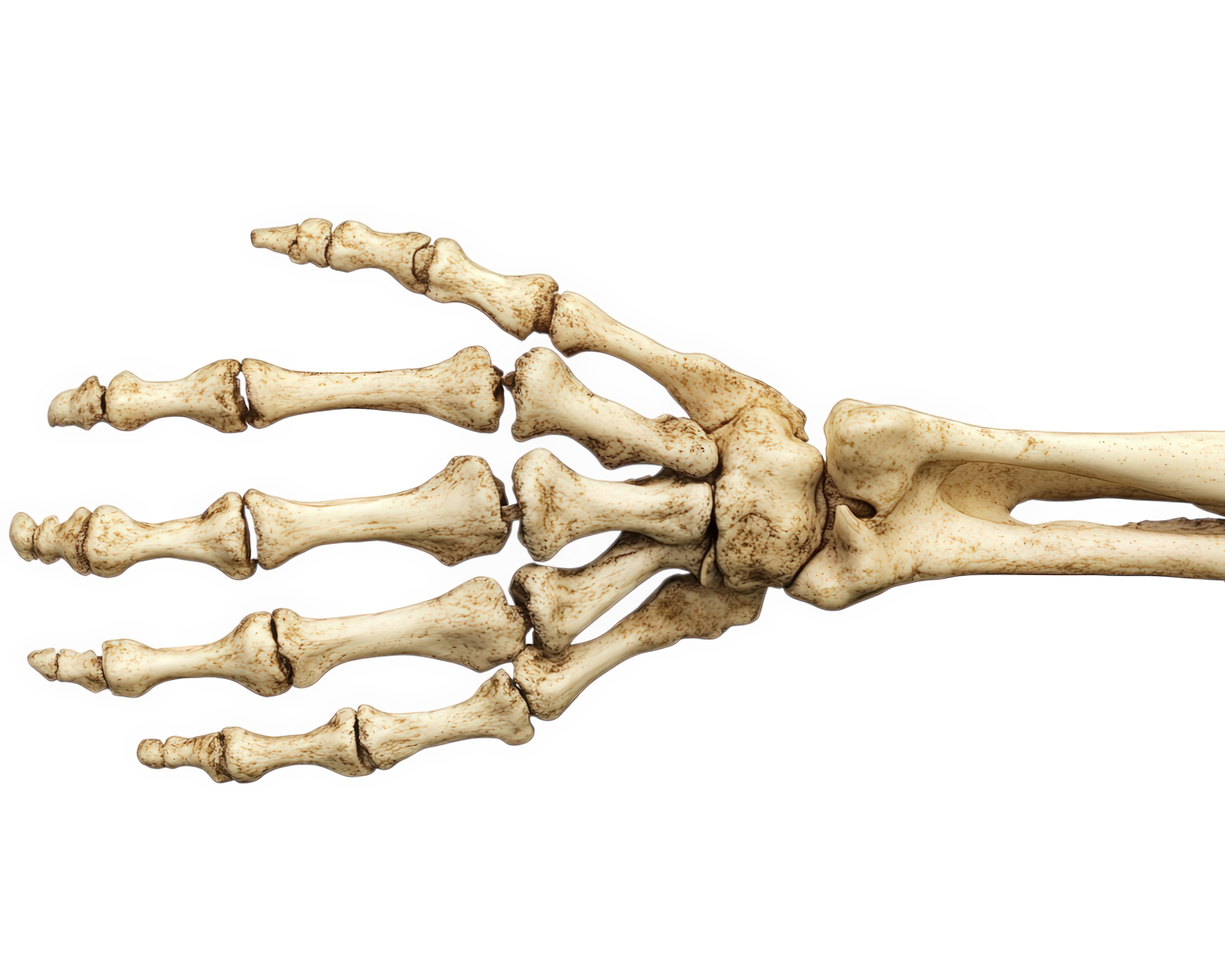 Right Hand